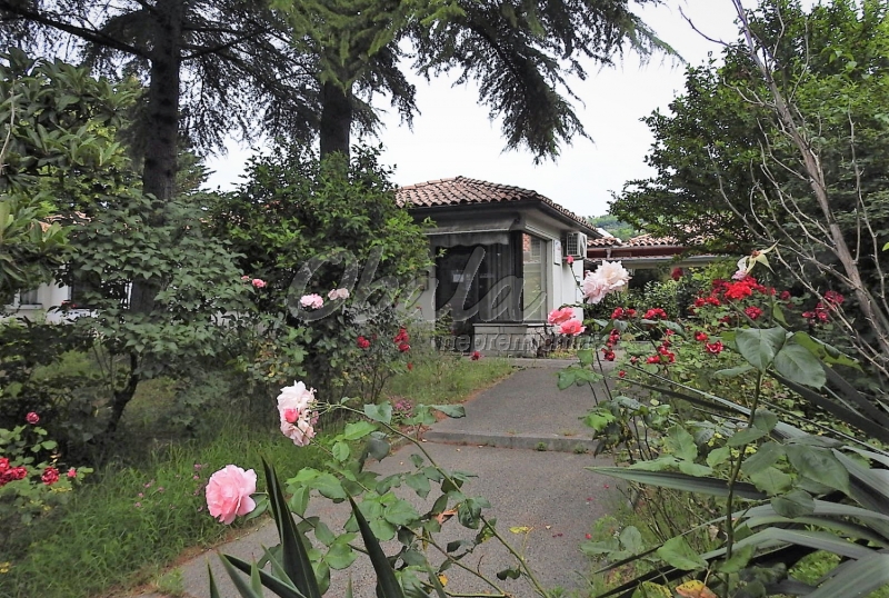 Realestate Lucija, pri osnovni &scaron;oli - galerija 3