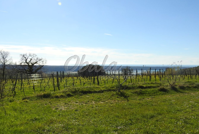 Realestate Izola, Korte