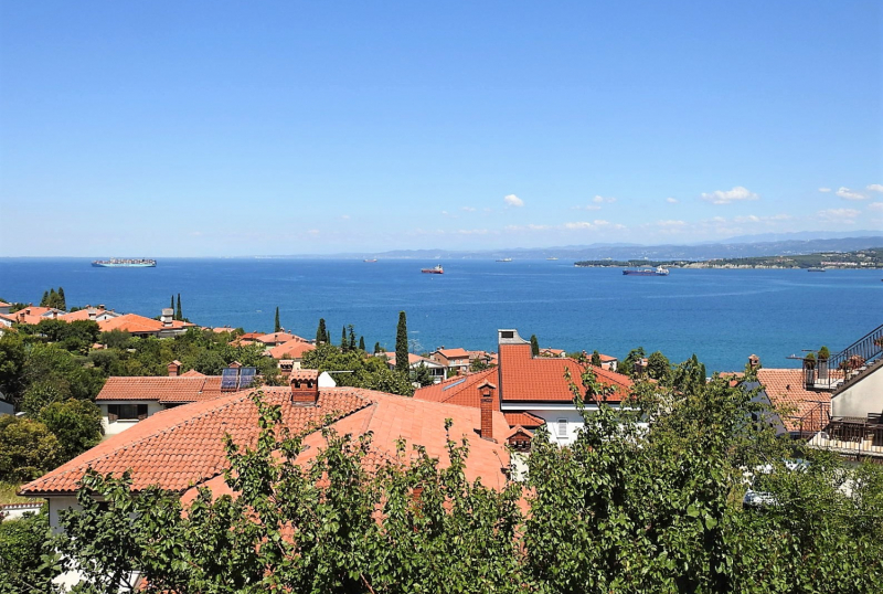 Realestate Koper, Žusterna III.